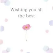 my → you♡の画像