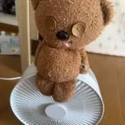 ティム子の画像