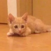 みみりん♡