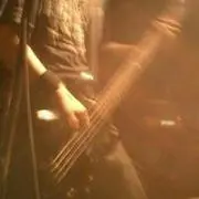 honey hunterの画像