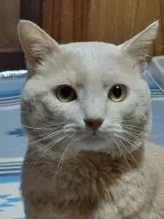 Yumi