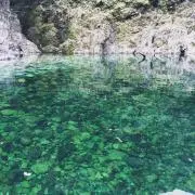 ぴょん吉