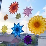 ぽめの画像