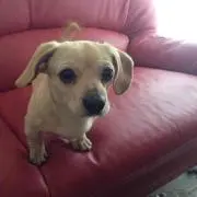 メイ