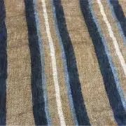 Akiraの画像