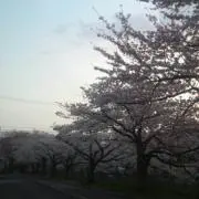 天使のしっぽ