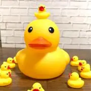 Image of ハム