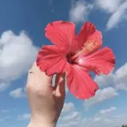 yoko(プロフィールをご一読ください)の画像