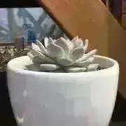 JIJI ★購入前にプロフへ！