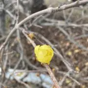 断捨離離離～の画像