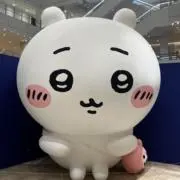 AAAの画像