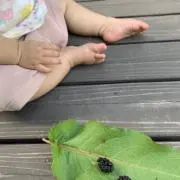 きちまるの画像