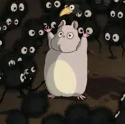 もゆもゆの画像