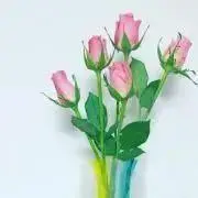 kt_0703の画像