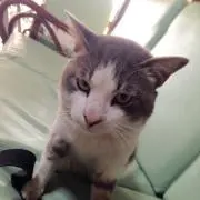 Taka