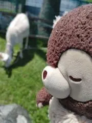 しん　基本即日対応です！