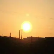 モコの画像