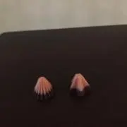 あめの画像