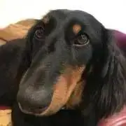 ととこ　プロフ必読お願いしますの画像