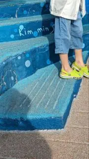 アラメルの画像