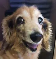 miuleoMAMA