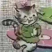 カトリーヌの画像