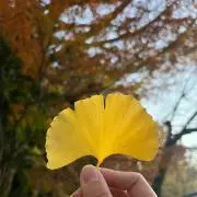 いももちの画像
