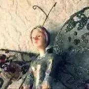 ちえぞうの画像