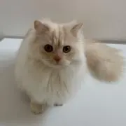 やまちゃん
