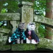 ぁぉの画像