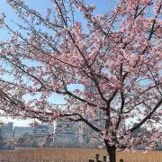 ばあばの画像