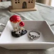 モコの画像
