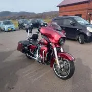 ヨシヨシの画像