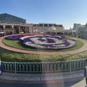 nagiの画像