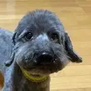 みちろるちゃん