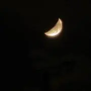 Riの画像