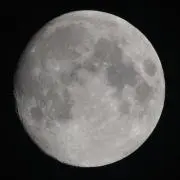 lidalinの画像