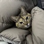 MK【値引き交渉・即購入ok】