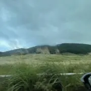 Mnの画像