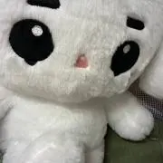 ゆかりの画像