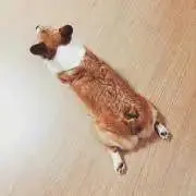 mon♡の画像
