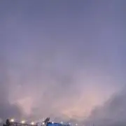 くるみの画像
