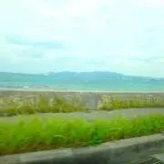mu29の画像