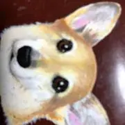 KEN 値段交渉可能！の画像