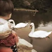 リンママ