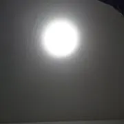 ヒカニャンの画像