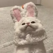 bibiann♡の画像