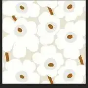 ぱぴこの画像