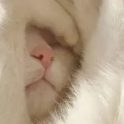 ☆kkの画像