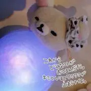 さゆたん